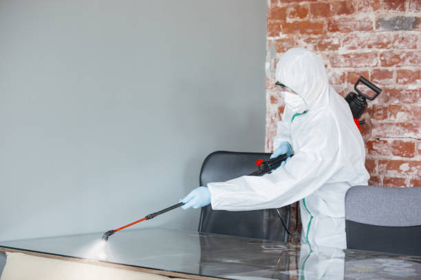 Best Emergency Mold Remediation  in Stony Prairie, OH